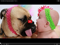 Nhung em be dang yeu choi cung cun cung hinh anh