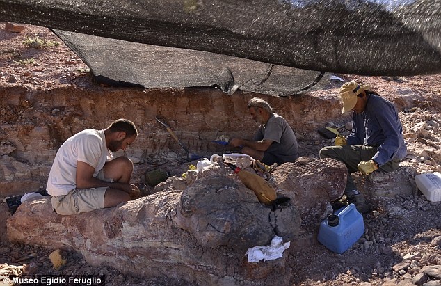 Canh khai quat xuong loai khung long cao bang nha 7 tang hinh anh