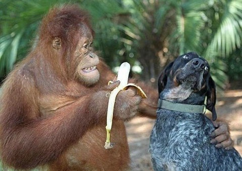 tinh tinh va cho anh 7