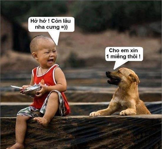 tinh tinh va cho anh 1