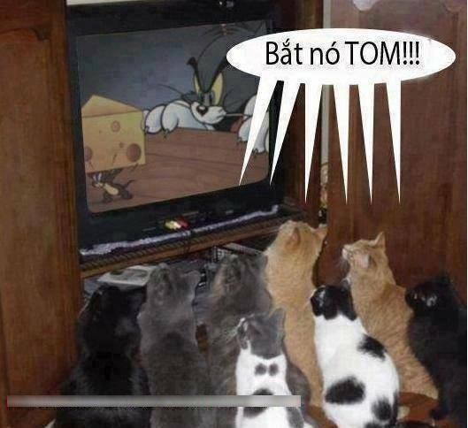 tinh tinh va cho anh 2