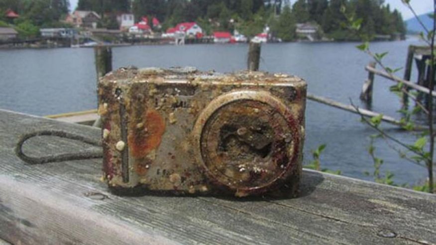 Du lieu camera nguyen ven sau hai nam duoi bien hinh anh