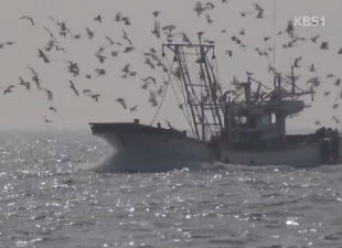 Han Quoc to Trieu Tien ban quyen danh bat ca cho Trung Quoc hinh anh