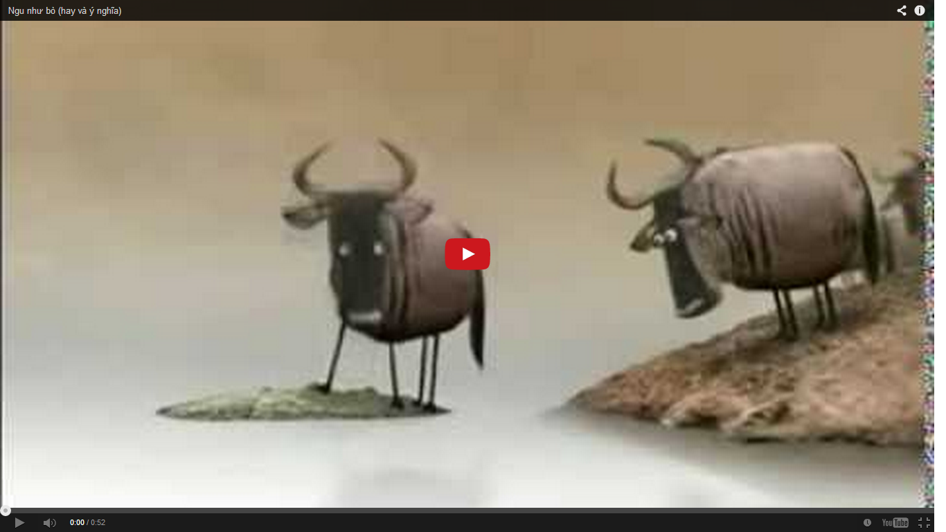 Ket qua tranh luan giua hai con bo ngoc hinh anh