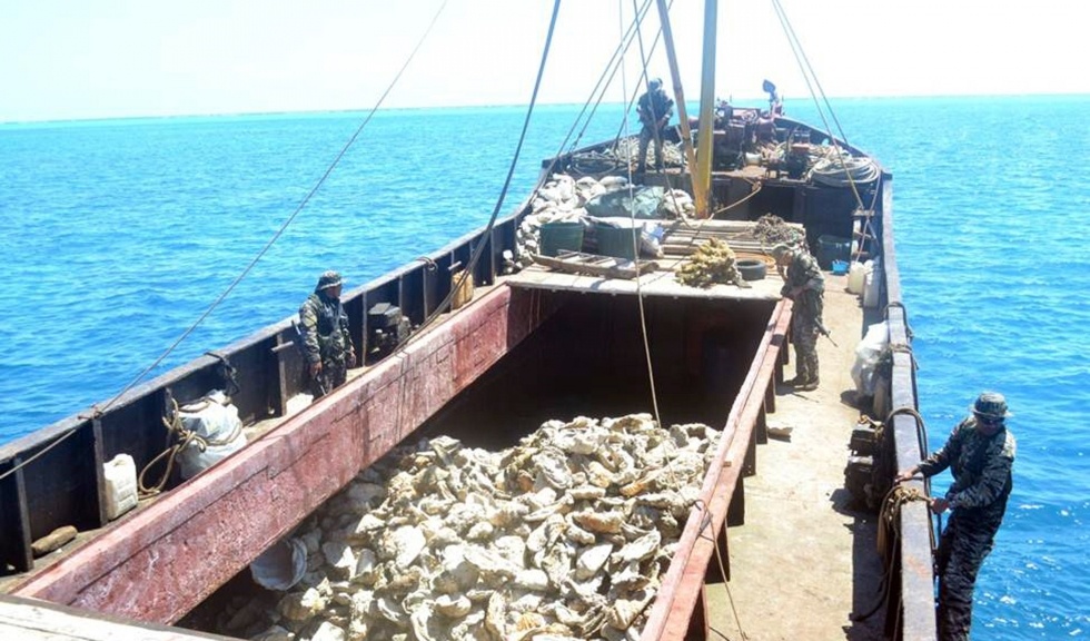 My bat giu tau ca Trung Quoc vo vet thuy san hinh anh