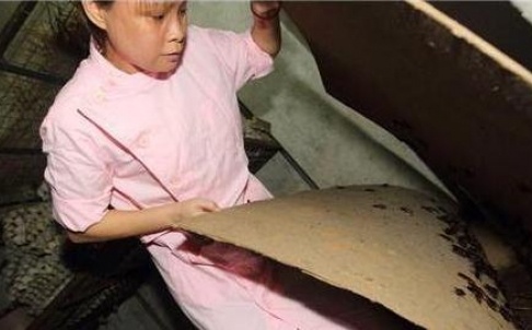 Nguoi phu nu nuoi 100.000 con gian trong nha hinh anh