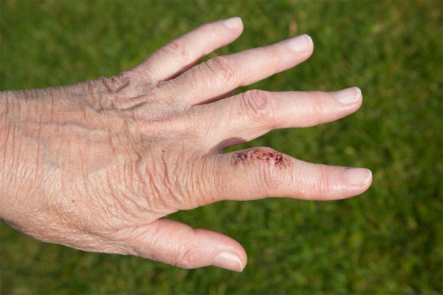 Nhung ky luc khong ai muon pha (ky 2) hinh anh