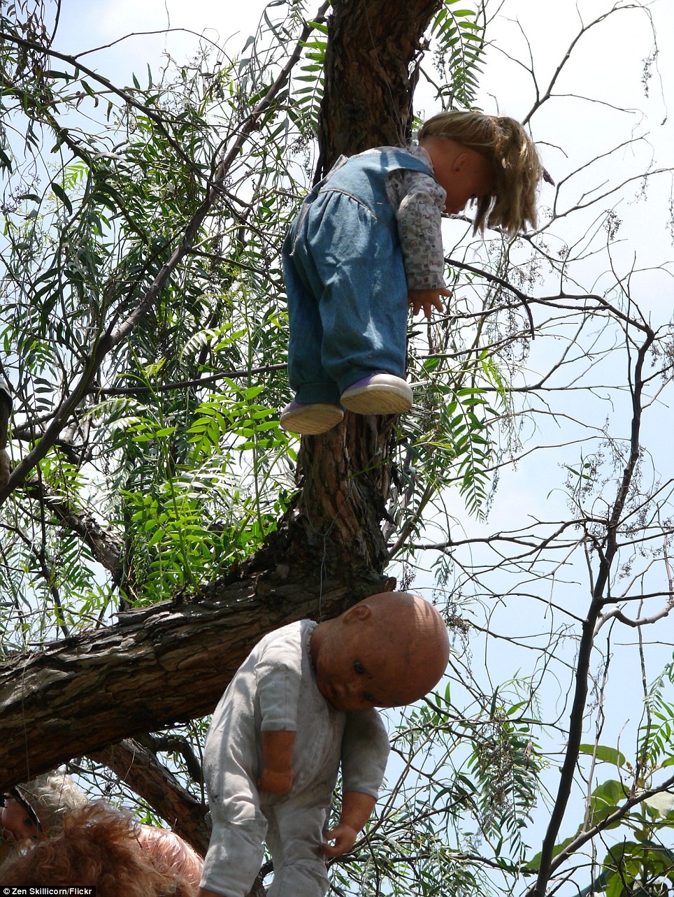 Người dân địa phương đồn rằng, những con búp bê thường thì thầm với nhau khi cơ thể của chúng treo lủng lẳng trên thân cây. 