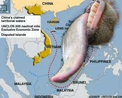 Su tich 'duong luoi bo' hoang duong cua Trung Quoc hinh anh