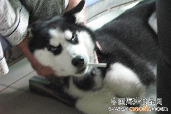 Cho nghien thuoc la o Trung Quoc hinh anh