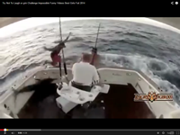 Nhung tinh huong bi hai khi cau ca hinh anh