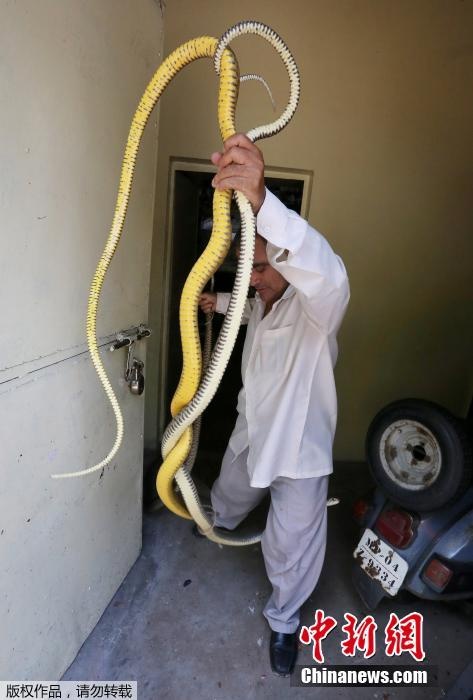 Nhiet do tang cao, ran vao nha dan tranh nang o An Do hinh anh