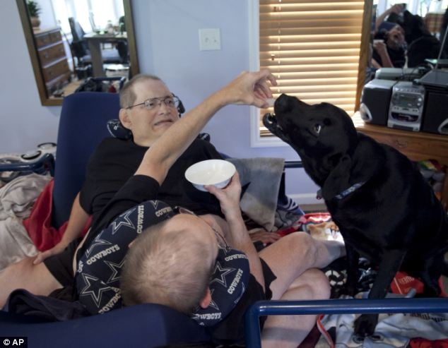 Hai anh em cho Mickey, chú chó của họ, ăn bánh. 