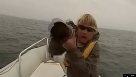 Canh tuong ca voi xanh lat thuyen o My hinh anh