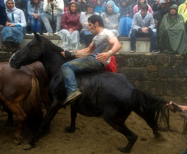 Hon chien nguoi va ngua o le hoi 400 tuoi hinh anh