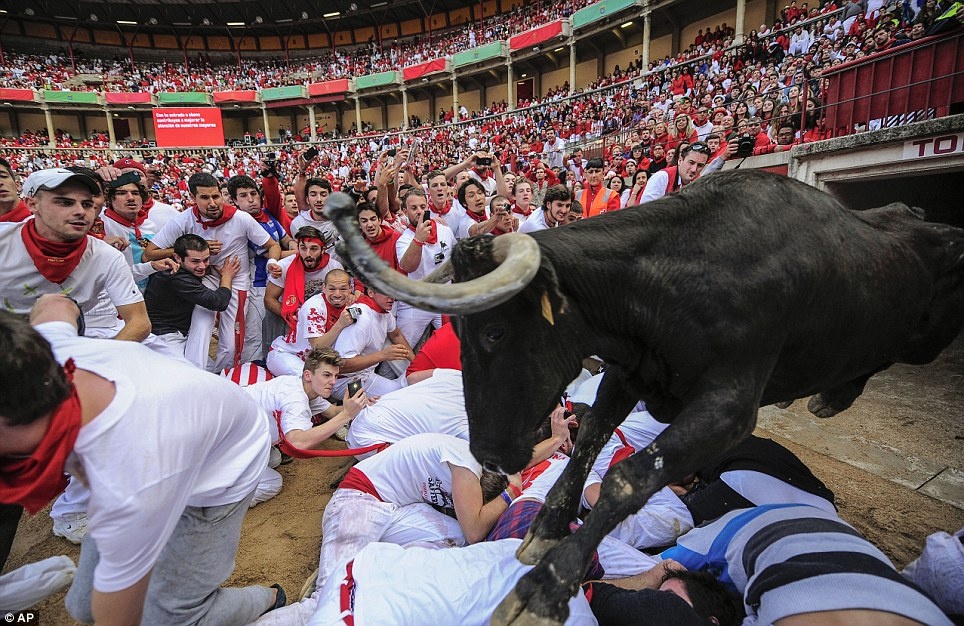 Bo tot ruot nguoi chay troi chet o Tay Ban Nha hinh anh