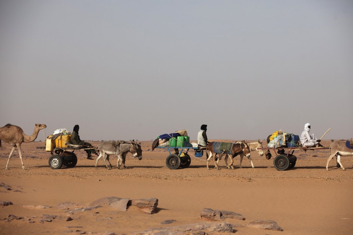 19. Niger: Tỉ lệ trẻ sơ sinh ở Cộng hòa Niger xếp thứ 7 trên thế giới và  68% dân số ở độ tuổi dưới 25. Nhân khẩu học là vấn đề khiến giới chức nước này phải đau đầu khi trung bình, mỗi phụ nữ sinh tới 7 đứa trẻ. Bên cạnh đó, dòng người tị nạn từ Libya, Mali và Nigeria tràn qua biên giới và sự hoành hành của nhóm khủng bố Al-Qaeda tại khu vực Hồi giáo Maghreb đã làm gia tăng bất ổn tại quốc gia này. 