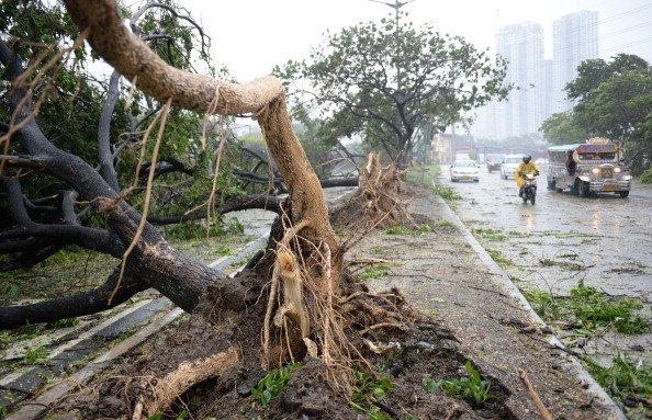 Tại vùng Luzon, các đoạn đường chính bị ách tắc và không thể đi qua, do cây cối và cột điện ngã kín đường cùng vô số rác rến. Ít nhất 4 tỉnh miền đông nam Luzon đã tuyên bố tình trạng thiên tai. Ảnh: Reuters