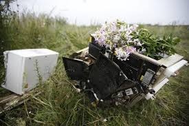 Nga dap tra gay gat am chi cua My ve vu MH17 hinh anh