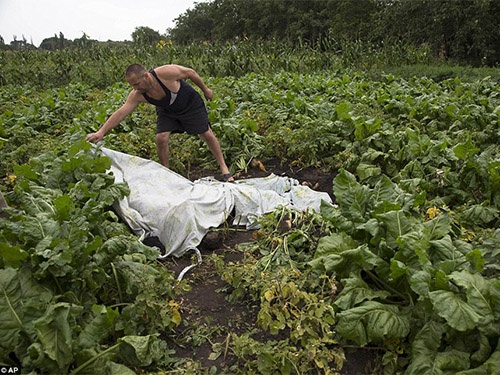 Nhung thi the co doc o hien truong may bay roi hinh anh