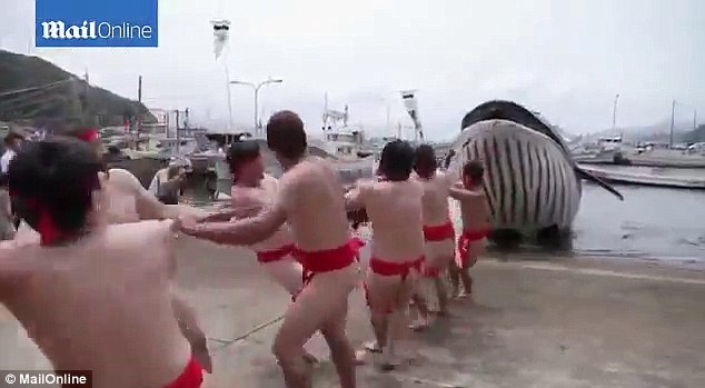 Le hoi san ca voi ky la o Nhat Ban hinh anh