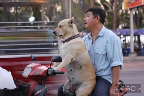 Cho deo nguoi, tre con che vu me hinh anh