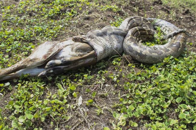 Tran nha con moi vi bi quay roi hinh anh