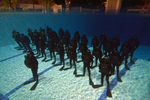 Các học viên xếp hàng chuẩn bị các bài tập dưới hồ bơi. 