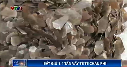 Bat giu 1,4 tan vay te te chau Phi hinh anh