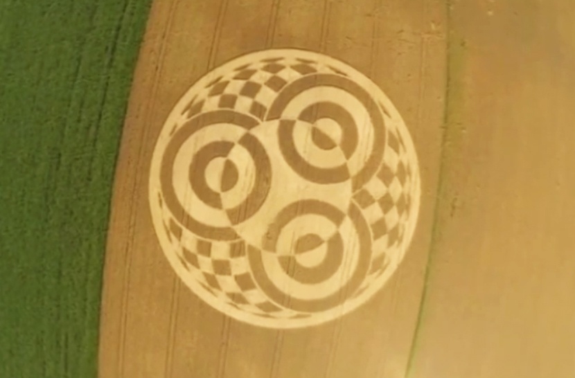 Vong tron bi an xuat hien tren canh dong o Duc hinh anh