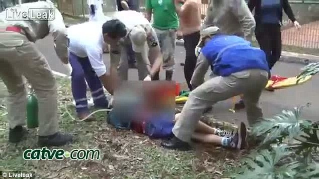 Cậu bé khóc la sau khi cố gắng kéo cánh tay thoát khỏi miệng con hổ. Ảnh: LiveLeak