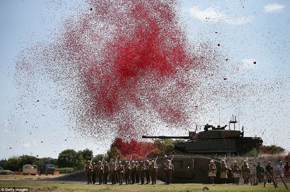 Gan 900.000 doa hoa tao 'bien mau' ky niem The chien I hinh anh