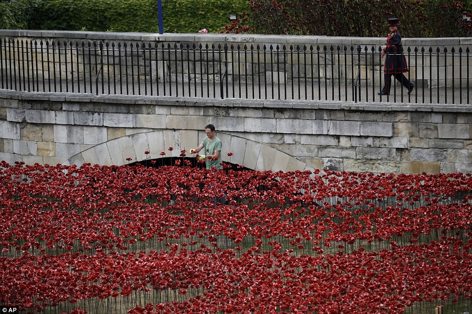 Phát ngôn viên tổ chức Historic Royal Palaces: “Những bông hoa đỏ ôm lấy tòa tháp không chỉ là một màn trình diễn tuyệt vời, mà còn là nguồn cảm hứng cho các hoạt động tìm hiểu lịch sử. Quy mô dự án phản ánh mức độ quan trọng của dịp kỉ niệm 100 năm này”. Ảnh: AP
