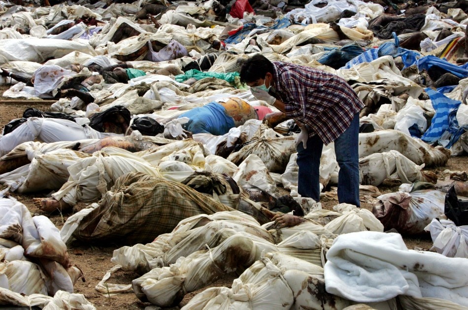 Một người đàn ông Thái Lan tìm kiếm người thân trong hàng trăm thi thể đặt tại một ngôi chùa ở gần Ban Muan, miền bắc Phuket. Ảnh: Reuters