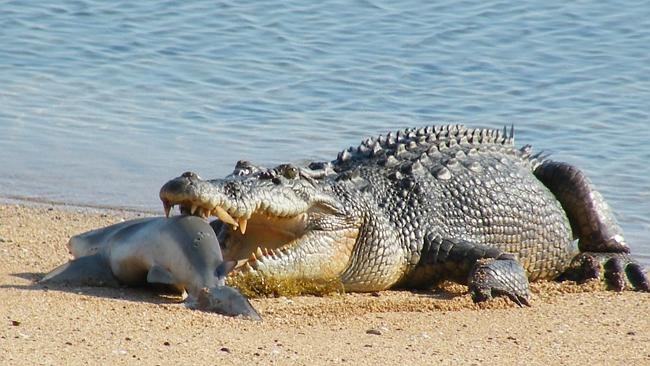 Ca map vung vay trong ham 'sat thu dam lay' hinh anh