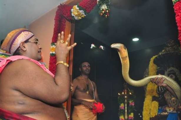 Ho mang chua xuat hien trong le cau nguyen hinh anh