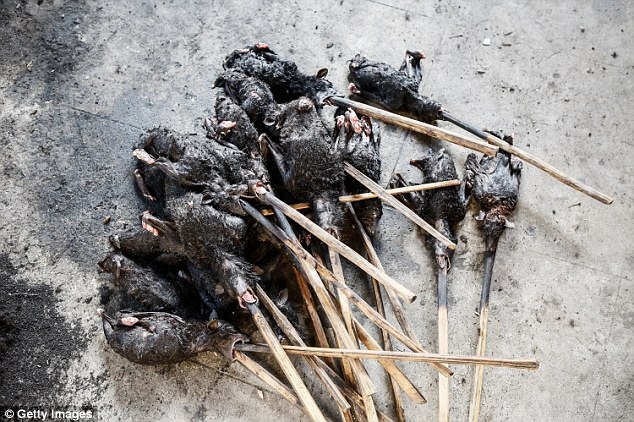 Các tiểu thương dùng que nhỏ xuyên qua người con dơi, sau đó đem nướng chúng. 