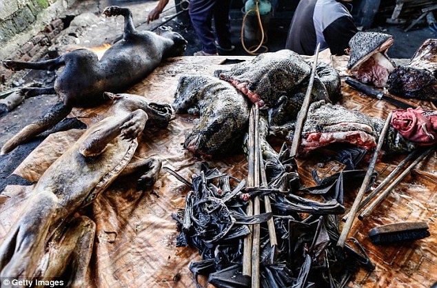 Chính phủ Indonesia đang theo dõi sát sao hoạt động của chợ Langowan sau khi giới chức phát hiện các tiểu thương kinh doanh heo rừng, một động vật nguy cấp. 