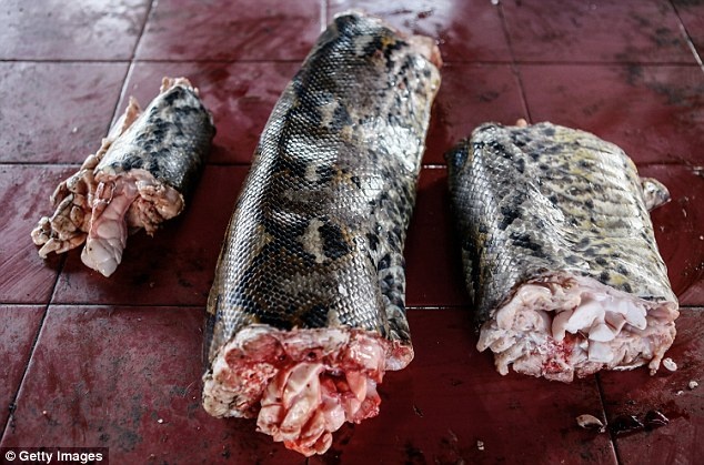 Sau đó, ông ta bày các khúc rắn trên bàn. Khách hàng có thể chọn mua với số lượng tùy thích. 