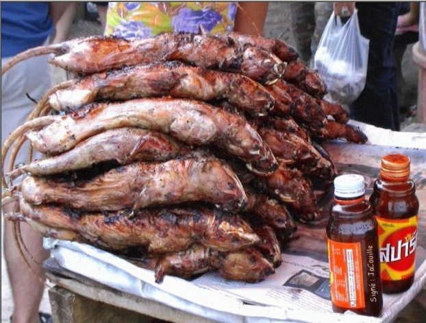 Canh nuong thit chuot tai mot khu cho o Thai Lan hinh anh