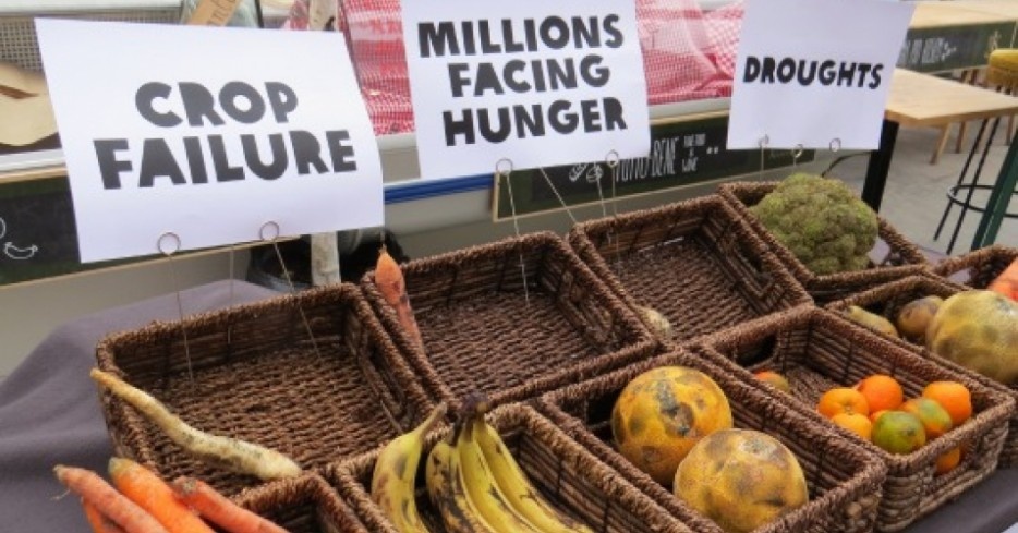 Một báo cáo của Chương trình Lương thực Thế giới dự đoán rằng, các hiện tượng thời tiết cực đoan như lũ lụt, hạn hán, cháy rừng và bão nhiệt đới sẽ gây thiệt hại cho ngành nông nghiệp, đe dọa an ninh lương thực cho hàng triệu người. 