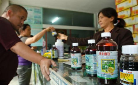 Kien cua hang vi tu van ma khong chet hinh anh