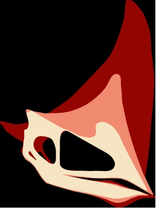 Hình ảnh mô tả về sự phát triển chỏm đầu của thằn lằn bay Caiuajara dobruskii từng xuất hiện trên một bài báo của tờ PLOS ONE năm 2014. Kích thước biểu thị qua màu sắc dựa theo độ tuổi từ nhỏ (màu trắng) tới trưởng thành (màu đỏ).