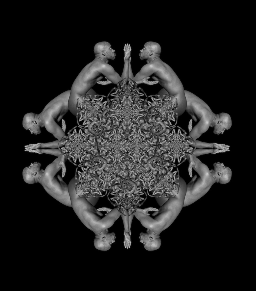 Cox theo đuổi ý tưởng sử dụng bộ phận cơ thể người, thường là phụ nữ và người mẫu da màu, trong các tác phẩm nghệ thuật từ năm 1993 đến nay. Cô muốn khai thác những đặc điểm hình học trong cơ thể người để chuyển thành các bức hình ấn tượng.