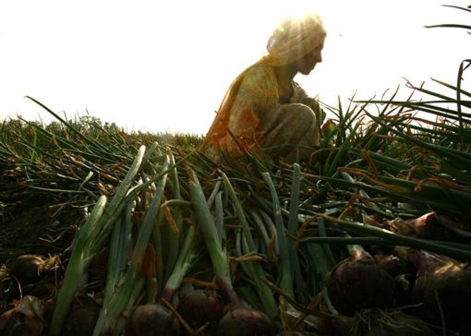 Co dau An Do bo chong vi khong co nha ve sinh hinh anh