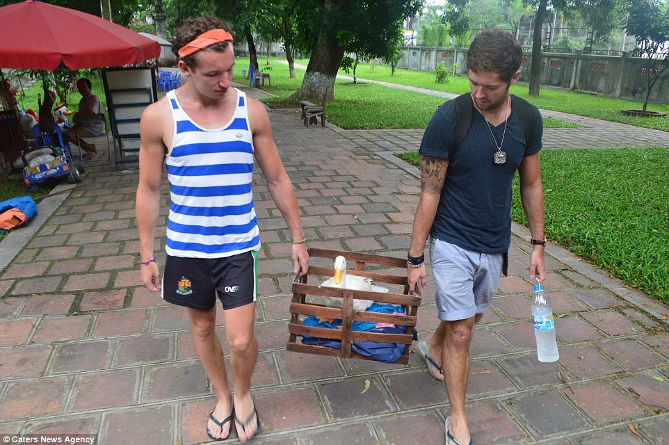 Dan và bạn mang theo con vịt trong hành trình khám phá Việt Nam.