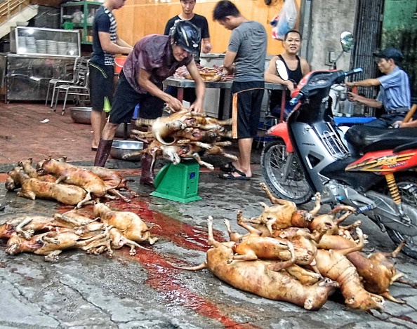 Bao nuoc ngoai viet ve nan trom cho o Viet Nam hinh anh