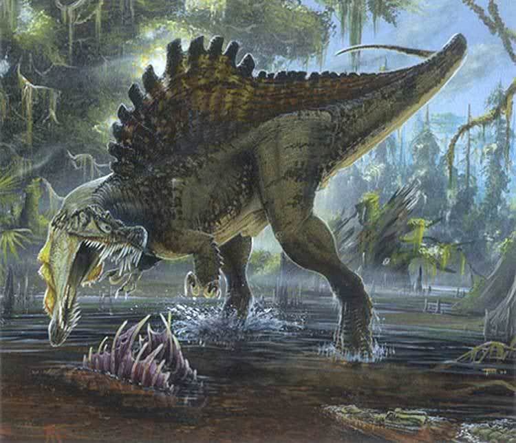 Khung long an thit Spinosaurus hinh anh
