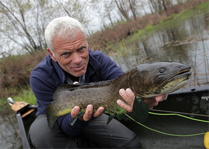 Wade là người dẫn chương trình, đồng thời là nhân vật chính của show truyền hình nổi tiếng River Monsters.