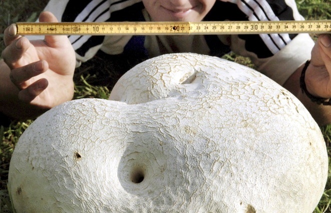 Nam trung khong lo bi an xuat hien tai Nga hinh anh